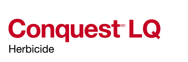 Conquest LQ logo